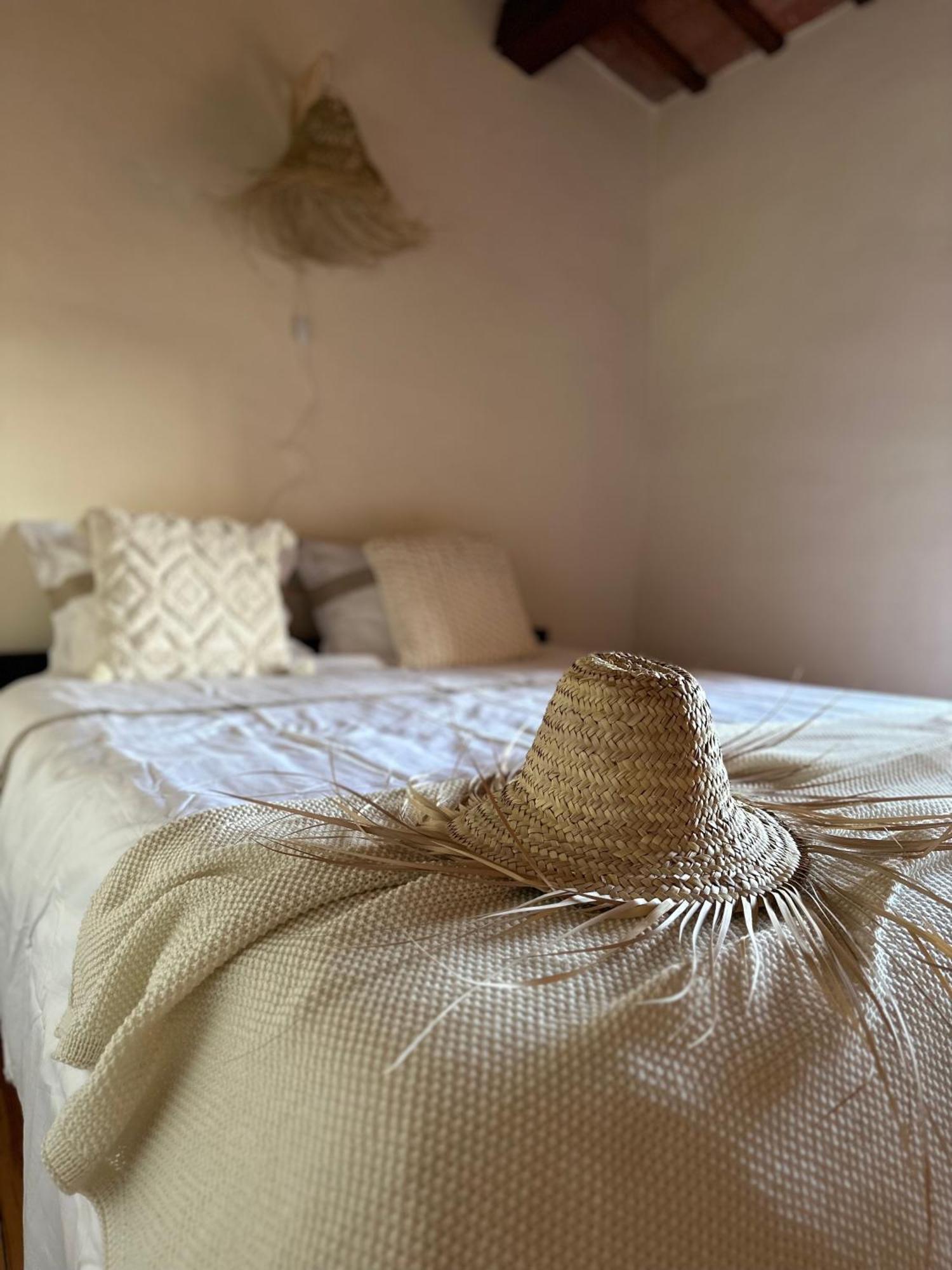 B&B La Vista Brava Platja d'Aro Kültér fotó