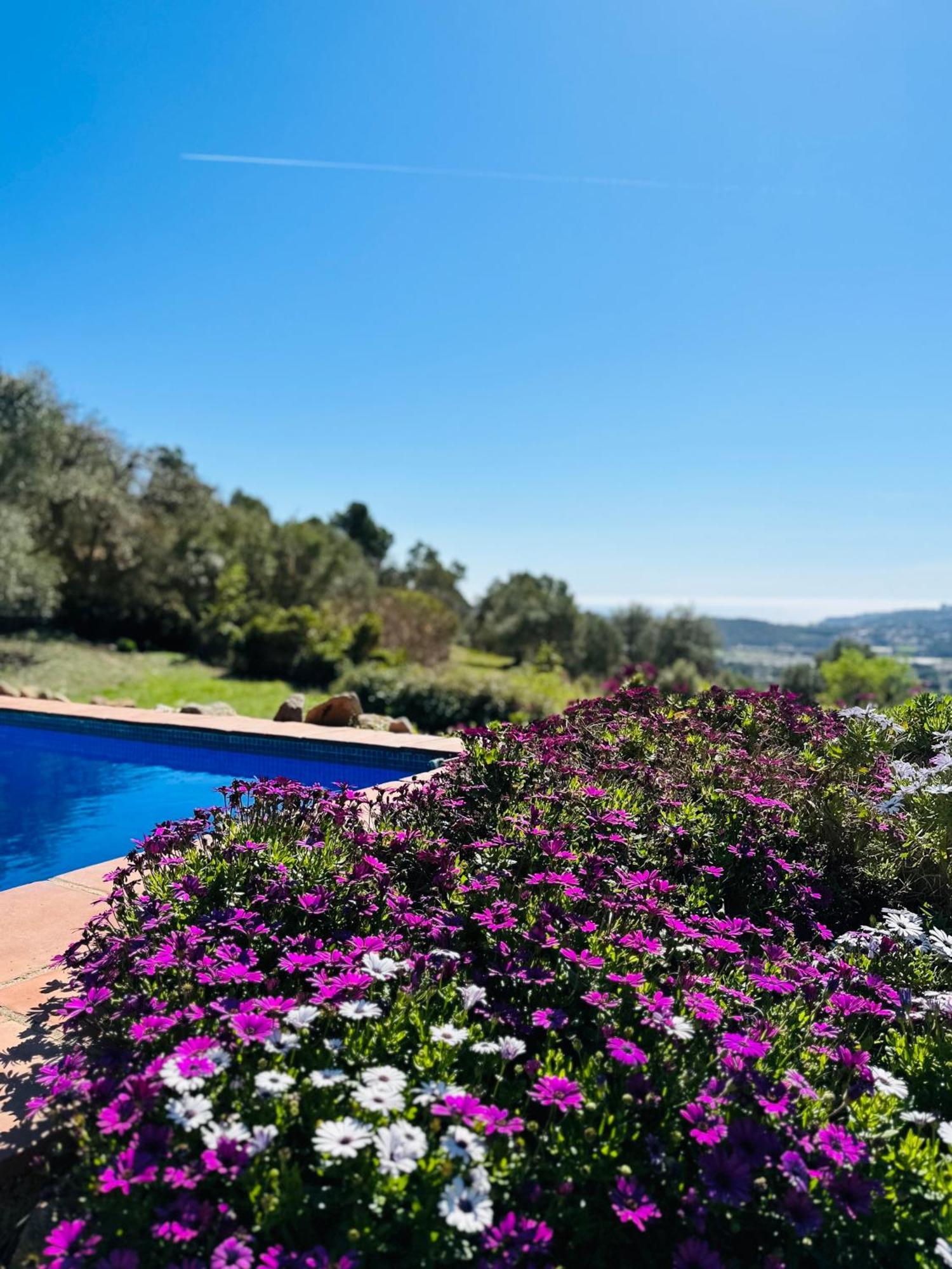 B&B La Vista Brava Platja d'Aro Kültér fotó